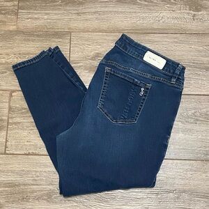 Slink Jeans 18 Curvy Skinny Jeans